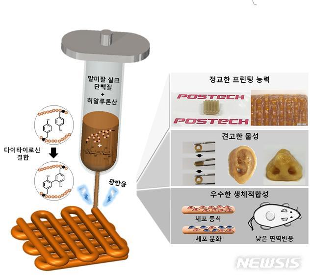 【포항=뉴시스】강진구 기자 = 포스텍(총장 김도연)은 화학공학과 차형준 교수·박사과정 박태윤·양윤정 연구교수팀이 기계공학과 조동우 교수·박사과정 하동헌 팀과의 공동연구를 통해 기계적 물성이 매우 뛰어난 말미잘 실크 단백질 원천소재를 기반으로 원하는 형상의 인공 생체 구조체를 빠르고 정교하게 3차원으로 인쇄하는 기술을 개발했다고 8일 밝혔다.사진은 관련 연구흐름도.2019.04.08.(사진=포스텍 제공)  photo@newsis.com