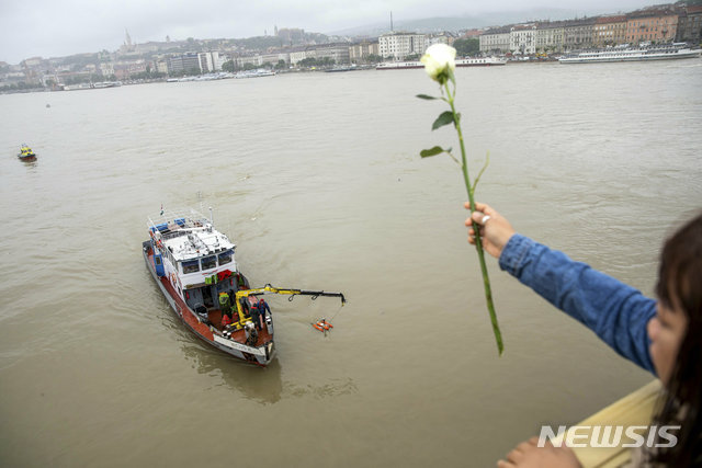  【부다페스트=AP/뉴시스】 한국인 관광객 7명이 사망하고 19명이 실종된 헝가리 수도 다뉴브강에서 30일 수색 활동이 펼쳐진 가운데 한 여성이 사고 지점 바로 위인 마라가렛(마르깃)교에서 꽃 한 송이를 떨어트리고 있다. 2019. 5. 30. 