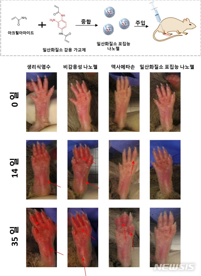 【포항=뉴시스】강진구 기자 = 포스텍(총장 김도연)은 화학과 김원종 교수·통합과정 여지원, 이영미 박사 연구팀이 일산화질소에 감응하는 가교제를 이용해 몸속 일산화질소를 포집하는 나노 크기의 하이드로젤을 개발했다고 4일 밝혔다.사진은 연구관련 모식도.2019.06.04.(사진=포스텍 제공)  photo@newsis.com