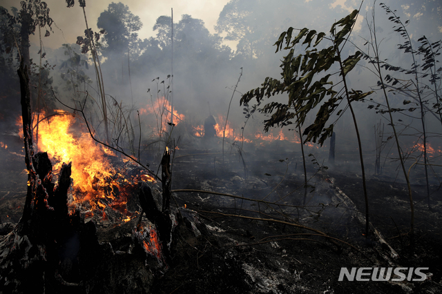【포르투벨류=AP/뉴시스】브라질 아마존의 일부인 자쿤다 국립 삼림으로 가는 길에 나무들이 8월26일 불타고 있는 광경. 2019.08.27.