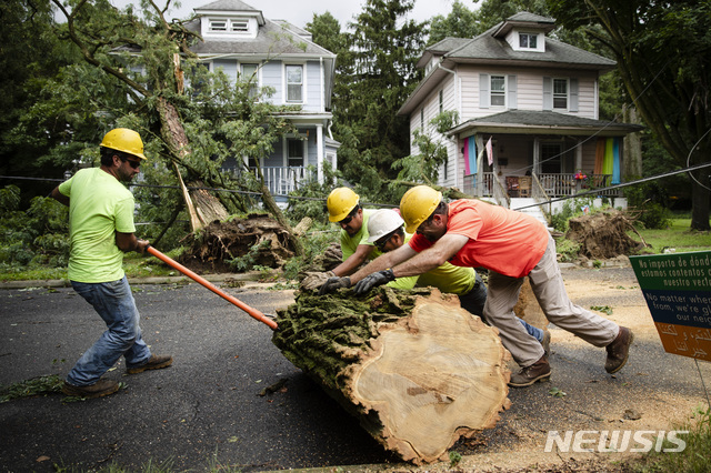 【콜링스우드(미 뉴저지주)=AP/뉴시스】지난 7월23일 미 뉴저지주 콜링스우드에서 '디펜더블 트리'사 직원들이 폭풍으로 쓰러진 나무를 잘라 치우고 있다. 2019.9.5