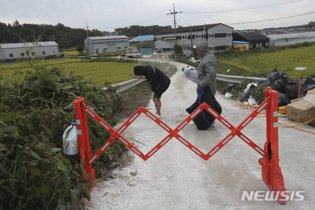 파주·연천 돼지열병 농장 관련 221곳, 혈청검사 결과 '음성'