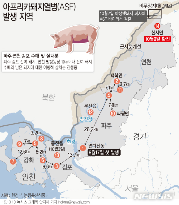 정부 "연천, 돼지열병 추가발생 배제 못해…확산시 포천·철원도 위험"