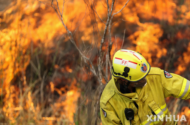【타리(호주)=신화/뉴시스】11일(현지시간) 호주 뉴사우스웨일스 타리 인근 화재 현장에서 한 소방관이 산불을 진화하면서 화염과 싸우고 있다. 가뭄이 이어지는 호주 동부 지역에서 발생한 대형 산불이 며칠째 계속되면서 뉴사우스웨일스(NSW)주 정부는 일대에 비상사태를 선포했고 인근 시드니 지역 주민을 상대로 '재난' 단계의 화재 경보를 발령했다. 당국은 화요일에 이례적인 더위와 강풍이 예보돼 지난주 3명의 사망자를 낸 화재보다 훨씬 큰 피해가 우려된다고 전했다. 2019.11.12.