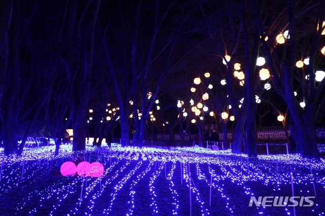 전북 정읍 내장산 겨울빛축제 야간풍경.