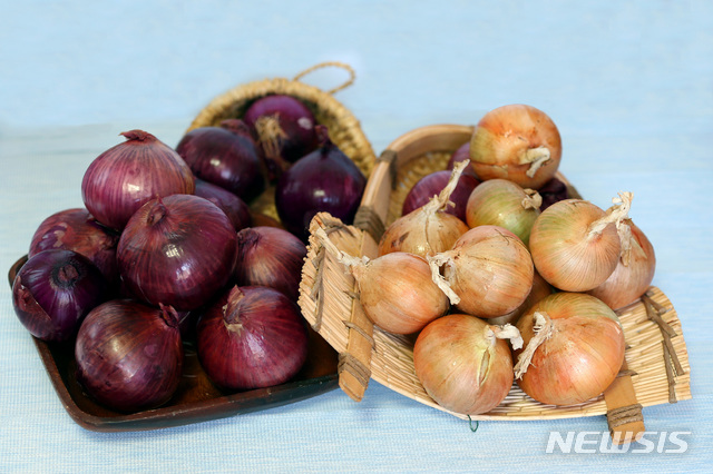 [무안=뉴시스] 무안 양파. (사진=무안군 제공) photo@newsis.com