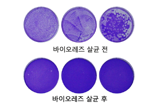 [서울=뉴시스] 바이오레즈에 살균된 신종 코로나바이러스. 사진 서울반도체
