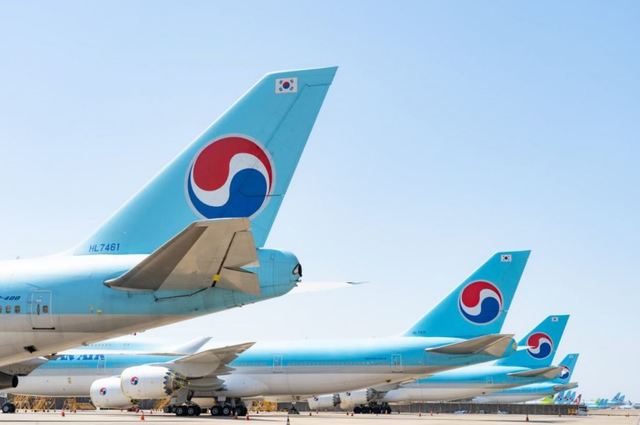 [서울=뉴시스] 김포공항 주기장을 가득 채우고 있는 대한항공 항공기들의 모습. 사진 대한항공