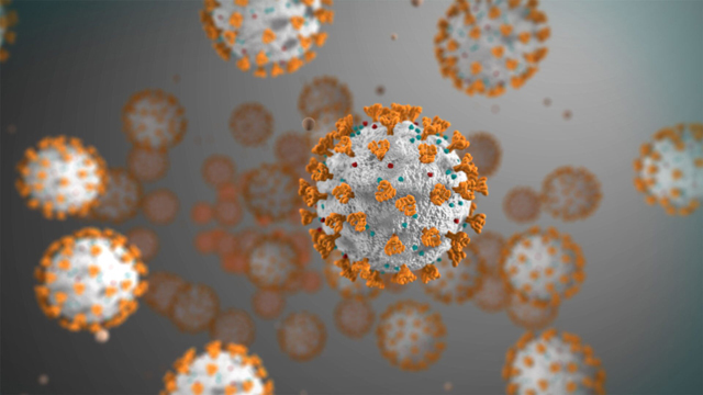 국내 첫 발견 '델타 플러스'…돌기 부위 변이에 위험도·백신 효능 촉각