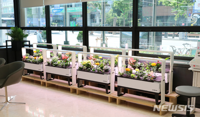 실내식물 재배기, 대전도시공사
