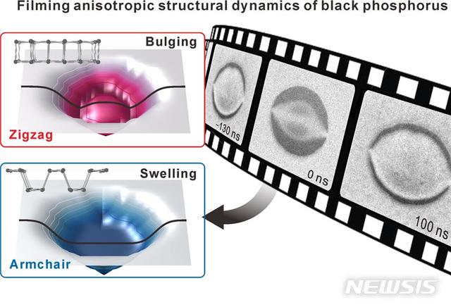 외부 빛에 반응해 구조 변화를 일으키는 흑린 연구그림. (사진=UNIST 제공)