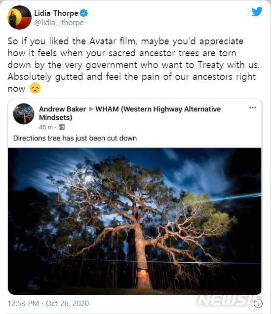 [서울=뉴시스]호주 당국이 고속도로 건설을 위한 부지 확보를 위해 원주민들이 신성시하는 나무를 불도저로 밀어붙여 호주 국민들이 분노하고 있다. <사진 출처 : 트위터> 2020.10.27 