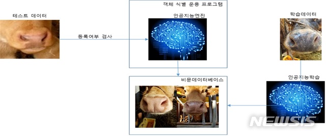 [안동=뉴시스] 소(牛)의 비문등록 시스템. (사진=경북도 제공) 2020.11.19