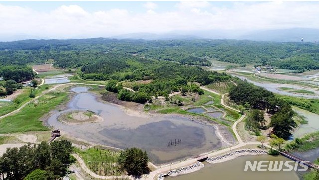 [세종=뉴시스] 수생태계가 복원된 강릉시 순포개호의 2017년 이후 모습. (사진=환경부 제공). 2020.11.24. photo@newsis.com