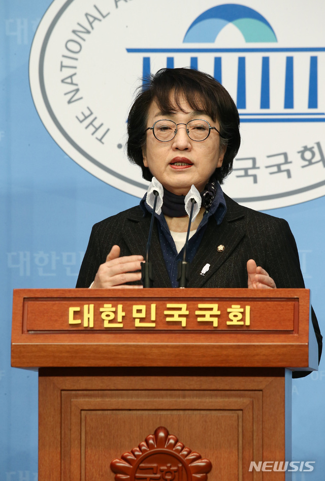 IT전문가 209명 김진애 지지 선언…文캠프 출신도 - 뉴스 썸네일 이미지