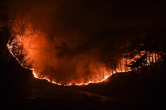 [영주=뉴시스]지난 22일 경북 영주시 장수면 갈산리 야산에서 발생한 산불의 모습. (사진=영주시 제공) *재판매 및 DB 금지