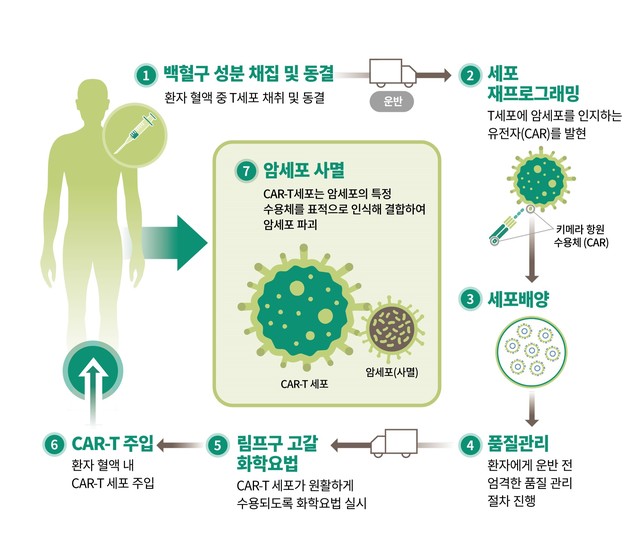 혈액암 생존율은? 면역관리가 필요한 이유! 3