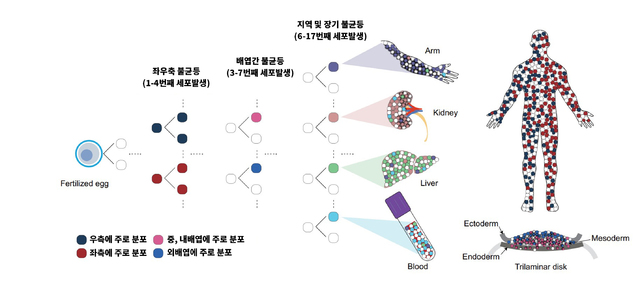  *재판매 및 DB 금지