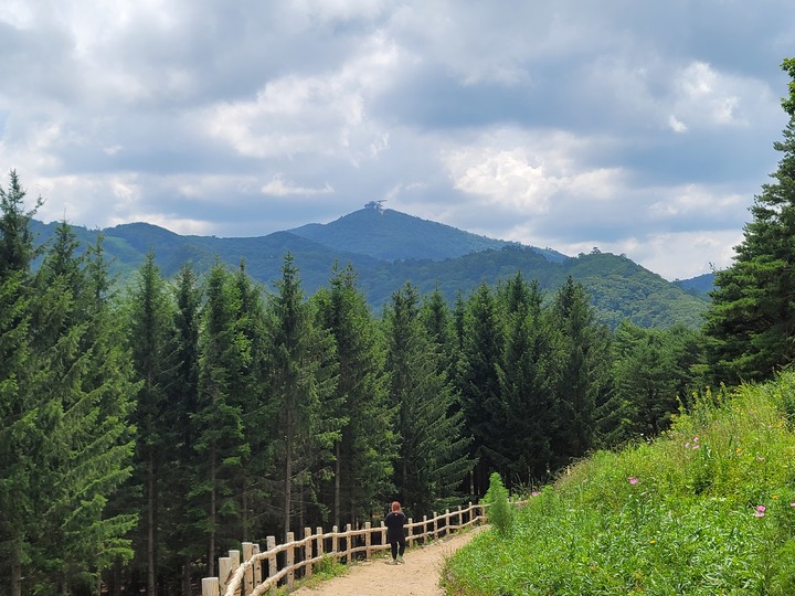 발왕산 (사진=용평리조트 제공) *재판매 및 DB 금지