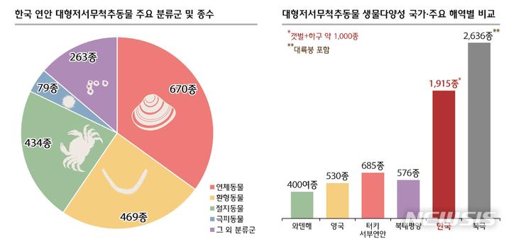 [서울=뉴시스] 한국 연안해역의 대형저서무척추동물 생물다양성.