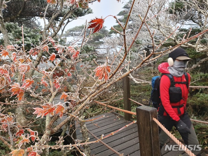 [제주=뉴시스] 우장호 기자 = 전국 곳곳에 한파특보가 내려진 17일 오전 제주 한라산 영실 코스 정상 부근에 눈꽃의 일종인 상고대가 활짝 펴 시선을 사로 잡고 있다. 상고대는 영하의 온도에서 대기 중에 있는 안개·서리 등의 미세한 물방울이 나무 등의 차가워진 물체와 만나 생기는 것으로 '나무서리'라고도 부른다. 2021.10.17. woo1223@newsis.com