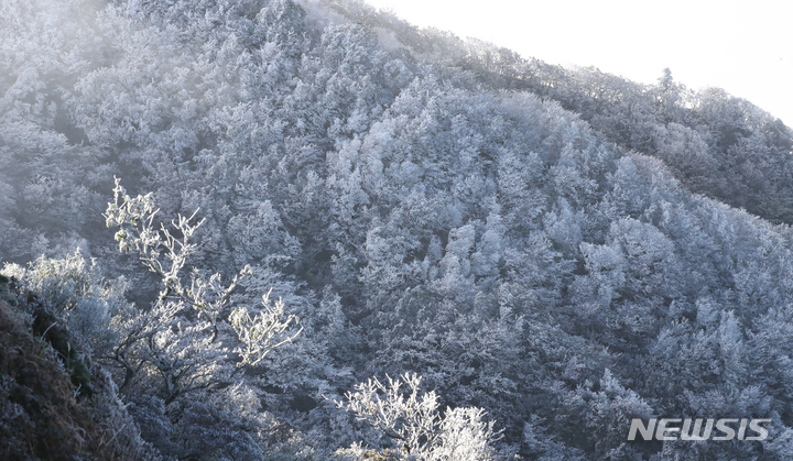 [제주=뉴시스] 우장호 기자 = 전국 곳곳에 한파특보가 내려진 17일 오전 제주 한라산 영실 코스 정상 부근에 눈꽃의 일종인 상고대가 활짝 펴 시선을 사로 잡고 있다. 상고대는 영하의 온도에서 대기 중에 있는 안개·서리 등의 미세한 물방울이 나무 등의 차가워진 물체와 만나 생기는 것으로 '나무서리'라고도 부른다. 2021.10.17. woo1223@newsis.com