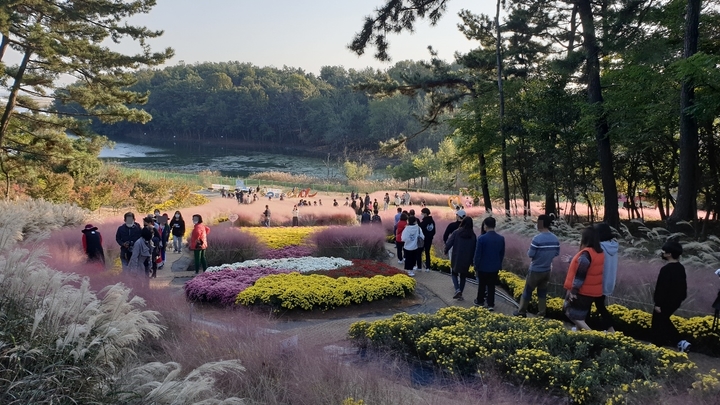 [익산=뉴시스] 전북 익산 천만송이 국화축제가 진행하고 있는 중앙체육공원 모습. (사진= 익산시 제공) *재판매 및 DB 금지