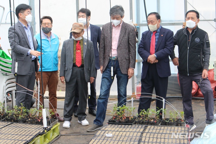 [제주=뉴시스] 양영전 기자 =제넨셀과 농업회사법인 연리지, 제주국제자유도시개발센터(JDC), 제주관광대학교, 애월읍 마을청년회 등 관계자들이 지난 24일 오전 제주관광대에서 담팔수 잎 합동 채취 행사를 가진 가운데 관계자들이 담팔수 재배단지를 둘러보고 있다. 2021.10.26. 0jeoni@newsis.com