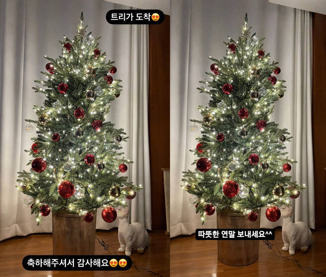 손담비가 SNS에 올린 크리스마스 트리(왼쪽), 이규혁이 공개한 트리.