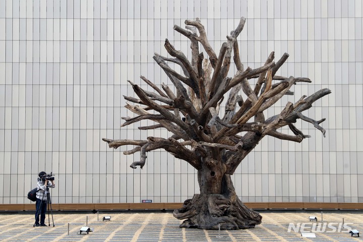 [서울=뉴시스] 박진희 기자 = 국립현대미술관은 세계적인 설치미술가이자 사회운동 실천가로 활동하는 중국 출신 작가 아이 웨이웨이(Ai Weiwei, 艾未未) 개인전 '아이 웨이웨이: 인간미래' 개막을 앞둔 10일 서울 종로구 국립현대미술관에서 기자간담회를 하고 있다. 미술관 마당에 전시된 설치 작품 '나무'(2015)는 중국 남부 산악지대에서 수집한 은행나무, 녹나무, 삼나무 등 죽은 나무 가지와 뿌리, 그루터기 등을 조합한 것이다. 전시는 국립현대미술관 서울관에서 2022년 4월 17일까지. 2021.12.10. pak7130@newsis.com
