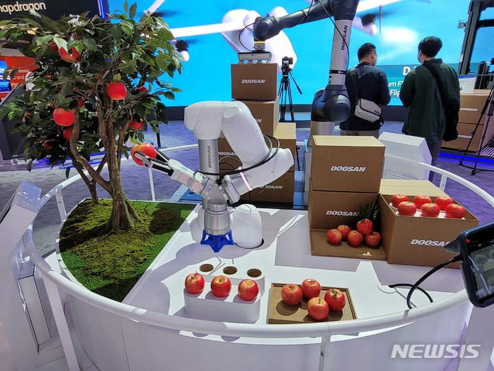  [라스베이거스=뉴시스]최희정 기자=6일(현지시간) 미국 라스베이거스 컨벤션센터에 마련된 두산그룹 부스에서 협동로봇들이 사과를 수확하거나 포장하고 있다. dazzling@newsis.com