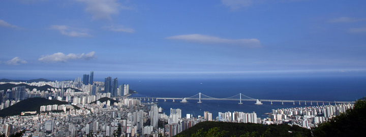 부산, 건조주의보→건조경보…"산불 등 각종 화재 주의"