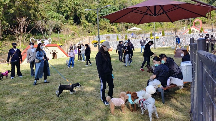 '펫'에 꽃힌 GS리테일…'멍냥' 1위 기업 노린다 - 뉴스 썸네일 이미지