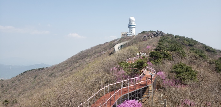 무장애 열린관광지로 조성된 비슬산. 2022.05.04. (사진=한국관광공사 제공) photo@newsis.com *재판매 및 DB 금지