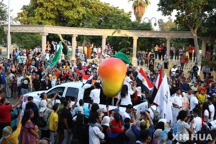 [이스말리아( 이집트)= 신화/뉴시스] 이집트 이스말리아에서 열린 망고축제에 8월19일부터 많은 관광객들과 망고 생산 농가, 거래상 등이 몰려들고 있다. 거대한 망고 조형물을 실은 트럭도 행진에 참가했다.  