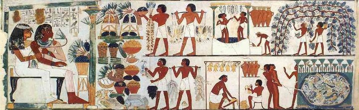 [서울=뉴시스] ‘나크트의 묘’로 알려진 투트메스 4세(재위 기원전 1425~1417년경) 시절 한 신관의 무덤에서 발견된 벽화. 고대 이집트인들의 포도 수확과 와인 양조 등의 모습이 담겨있다. (사진=OsirisNet 캡처) 2022.09.17. photo@newsis.com *재판매 및 DB 금지