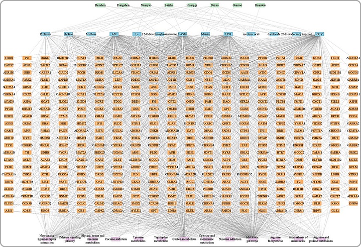 [대전=뉴시스] 기허 한약재(초록색)의 핵심 고유성분(하늘색)이 작용하는 유전자리스트(주황색)와 이와 관련된 생물학적 메커니즘(보라색)의 전체 네트워크 지도. *재판매 및 DB 금지