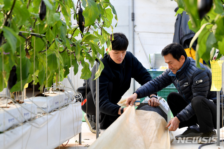 [광주=뉴시스] 이영주 기자 = 6일 오전 광주 광산구 삼도동에서 시설하우스를 운영하며 가지 농사를 짓고 있는 심효섭(34)씨가 아버지와 함께 전기온풍기를 설치하고 있다. 2022.12.06. leeyj2578@newsis.com