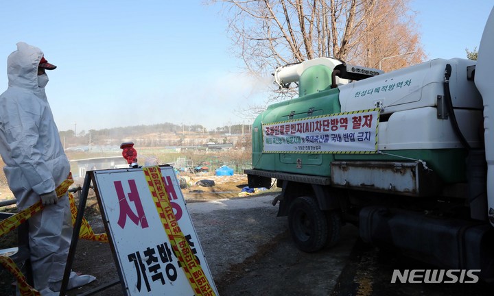 부산까지 영역 넓힌 조류인플루엔자…기장군 토종닭 농장 확진