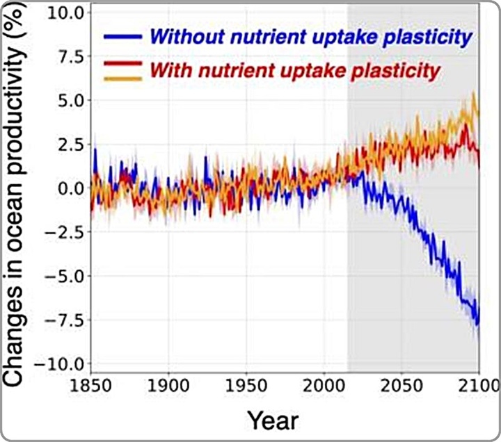 [대전=뉴시스] 시간에 따른 전 지구 해양 순생산량 변화. 바다 식물 플랑크톤의 영양 흡수 조절 능력을 가정한 기후 시뮬레이션 결과(빨간색 선, 주황색 선)에서는 기존 전망(파란색 선)과 달리 해양 순생산량이 증가하는 것으로 나타났다. *재판매 및 DB 금지