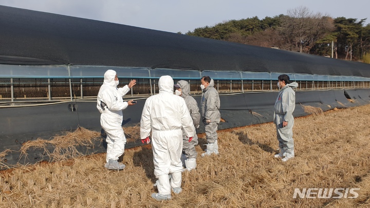 경남 하동 육용오리농장, 고병원성 AI 최종 확진