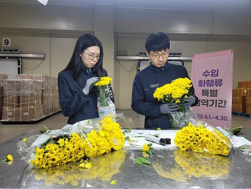 [세종=뉴시스] 수입 화훼류 현장 검역. (사진=농림축산검역본부 제공) *재판매 및 DB 금지