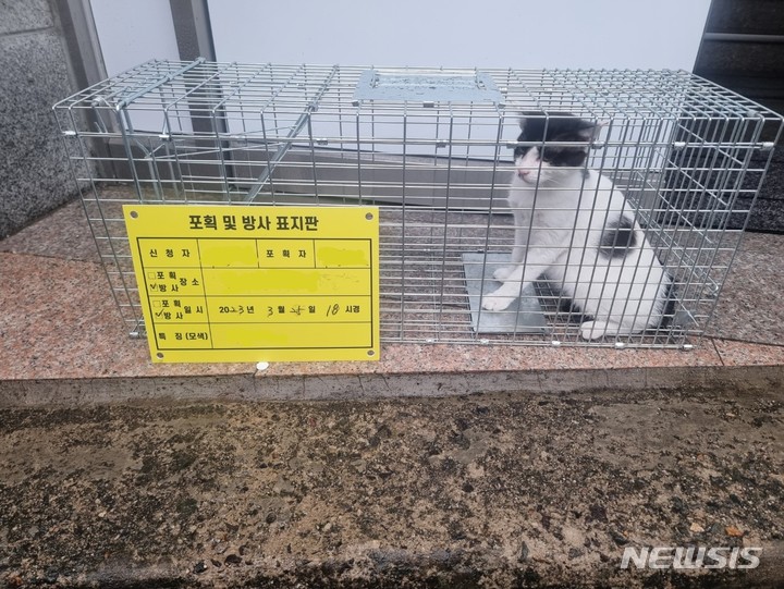 사천시 길고양이 중성화 2차 지원사업 추진