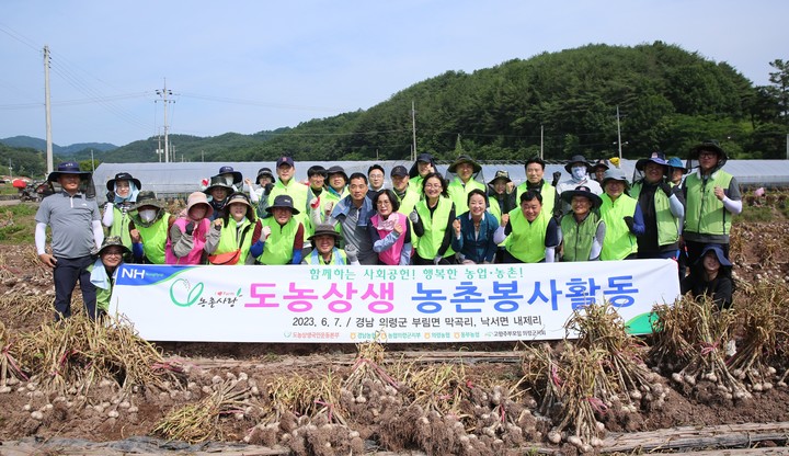 경남농협, 마늘·양파 수확기 부족한 농촌일손 지원 *재판매 및 DB 금지