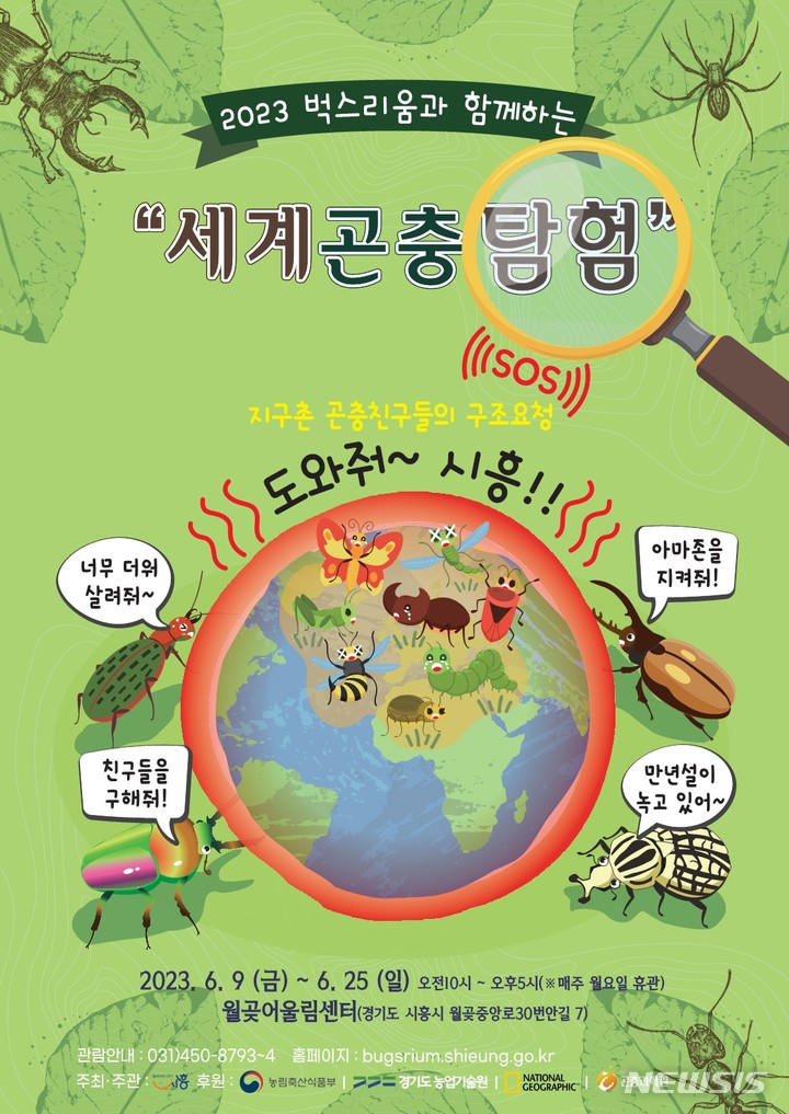 세계 곤충 탐험 안내 포스터.
