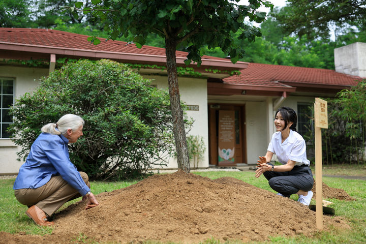 [서울=뉴시스]  Le 7, la Première Dame Kim Kun-hee, épouse du président Yoon Seok-yeol, organise une cérémonie de plantation commémorative avec le Dr Jane Goodall, primatologue et militante environnementale de renommée mondiale, au 