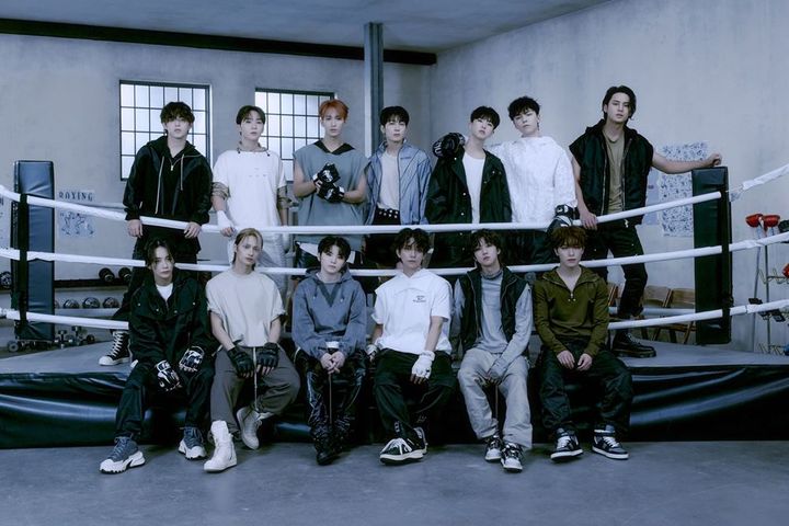 세븐틴 *재판매 및 DB 금지