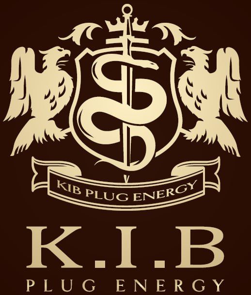 KIB PE, KIB에너지인프라홀딩스로 사명 변경