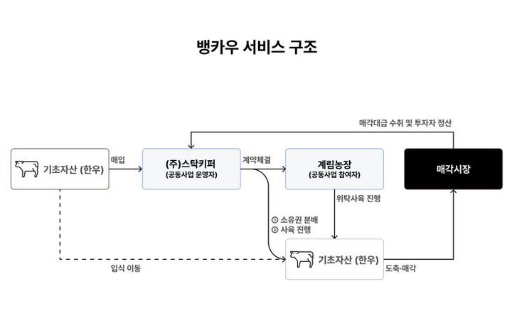 “한우 50마리에 조각투자” …최소 투자금 2만원, 20~26개월 투자