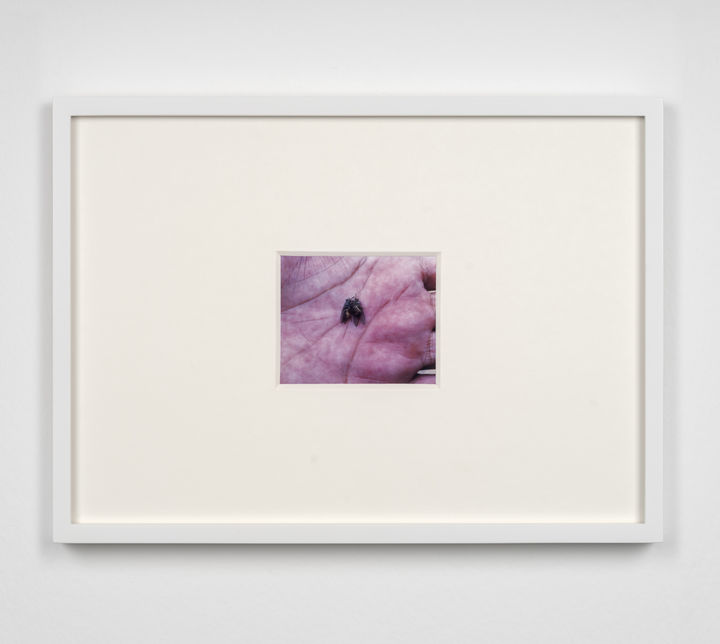 프랏차야 핀통, '손금', 2012 종이에 C-프린트, 액자, 21.3 x 29 cm (액자 23.2 x 31.8 x 2.7 cm *재판매 및 DB 금지